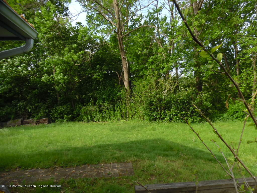 50 Holmes Mill Road Cream Ridge, NJ 08514 - Photo 24 of 27 side yard