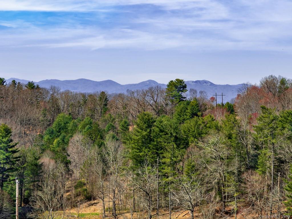 540 Bone Camp Road Marshall, NC 28753 - Photo 5 of 36 Gallery Image 5