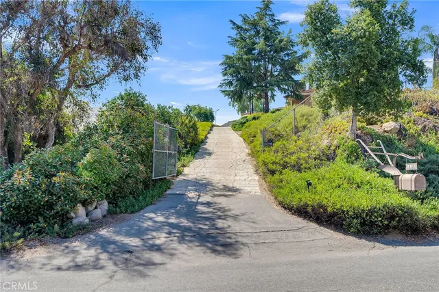 a view of a pathway both side of white house