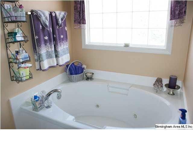 4013 Falliston Drive Helena, AL 35080 - Photo 9 of 19