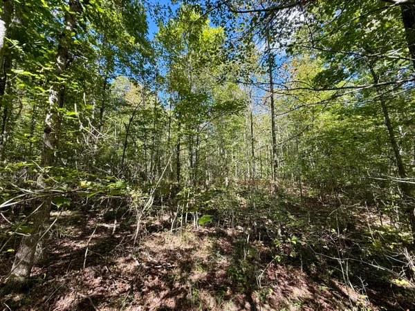 $89,680 | 0 Owl Hollow Road, Unit LOT 1, Palmer, TN 37365