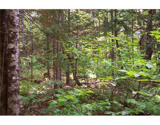 Lot 6 Turner Road Sangerville, ME 04479 - Photo 8 of 25 Land.