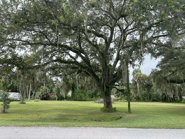 a big yard with trees