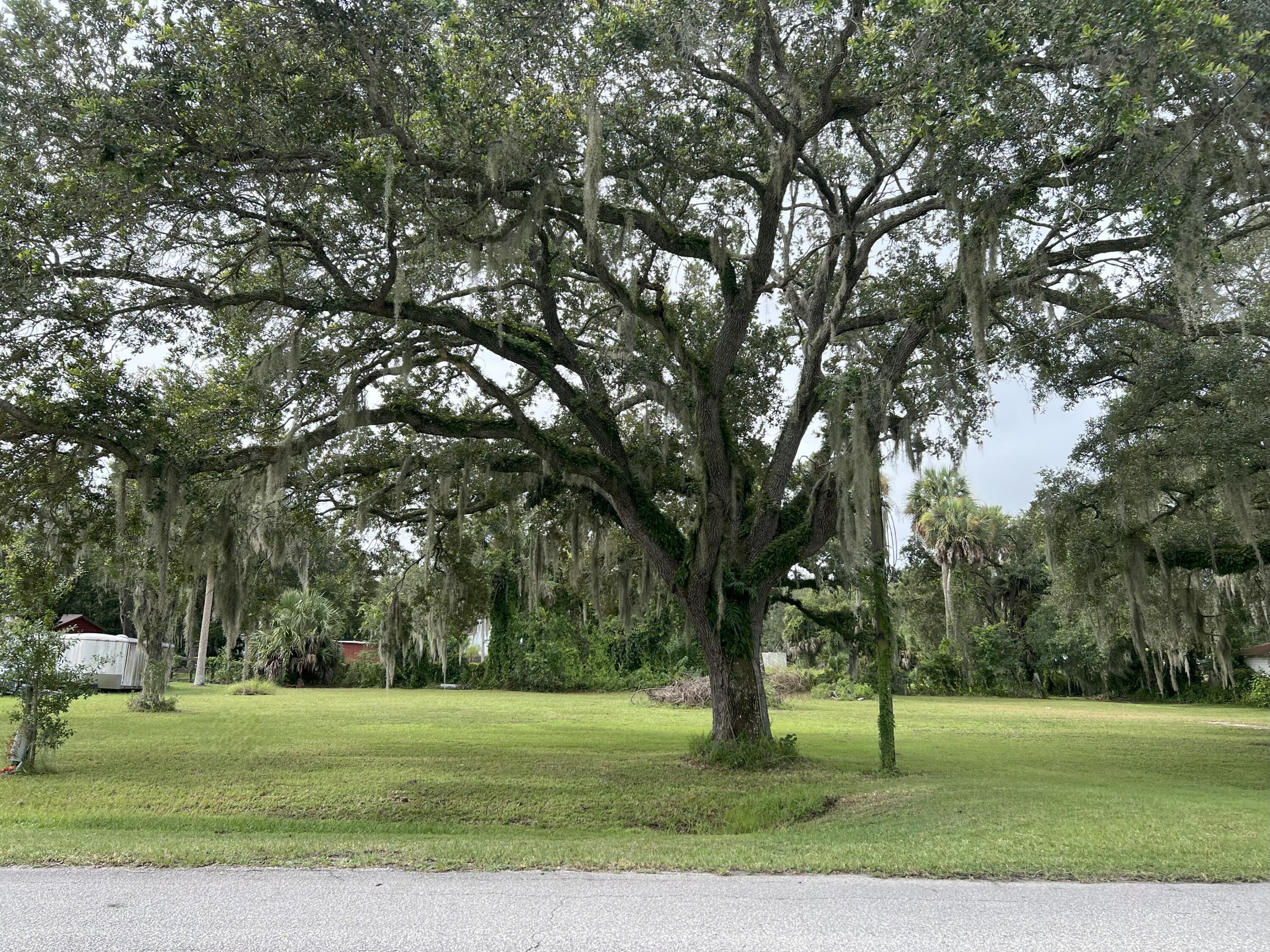 a big yard with trees