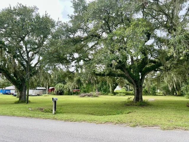 a huge green field with lots of trees