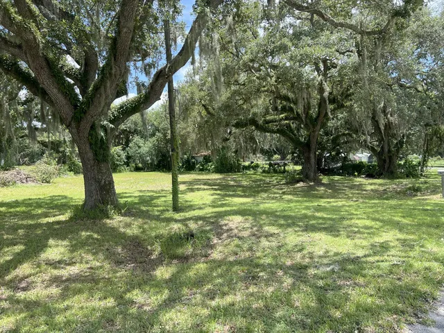 a view of a trees with a yard