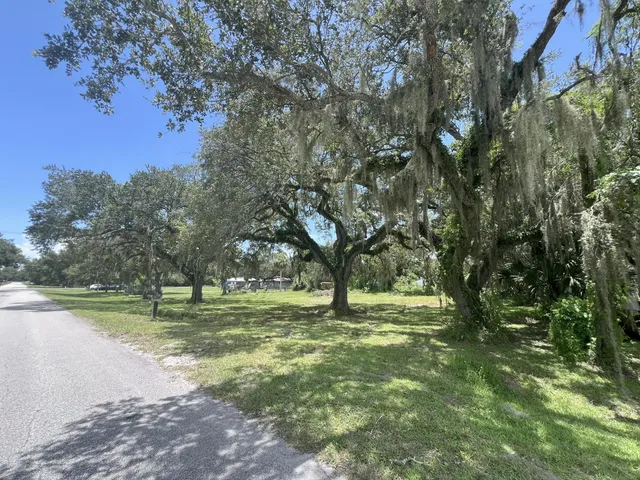 a view of outdoor space with trees all around