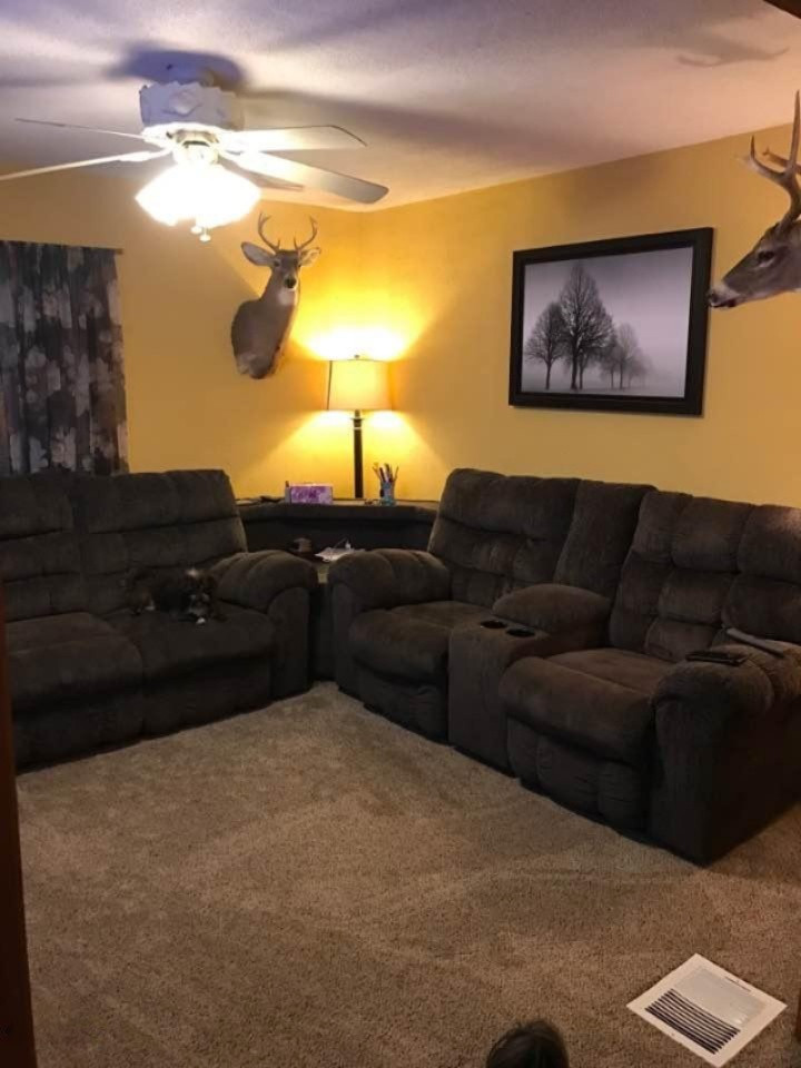 11291 Winfield Road Mosherville, MI 49258 - Photo 5 of 21 Living rm