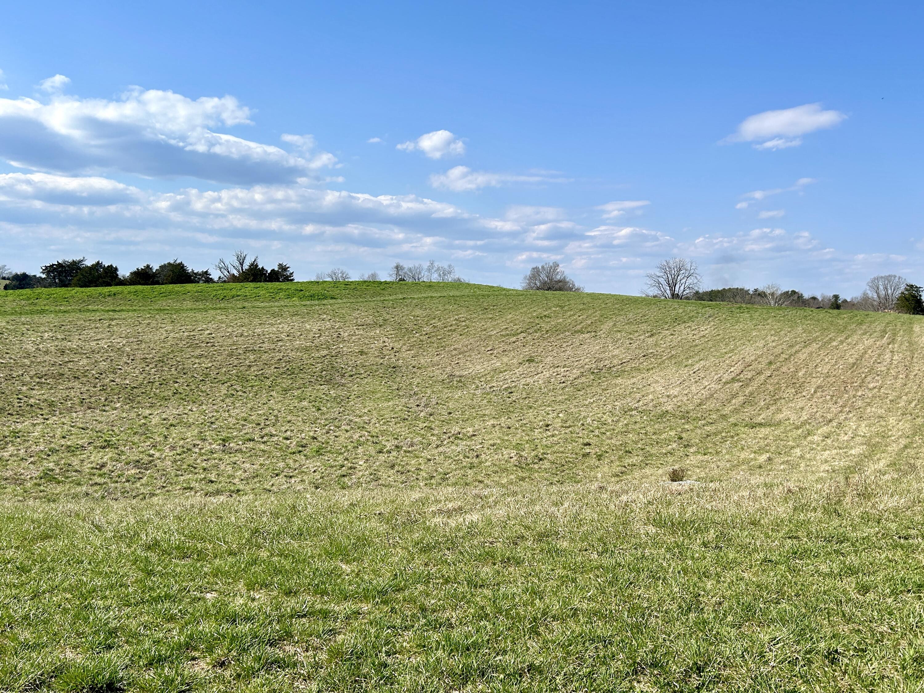 1178 Jacksboro Road Bronston, KY 42518 - Photo 5 of 13 IMG_E8957