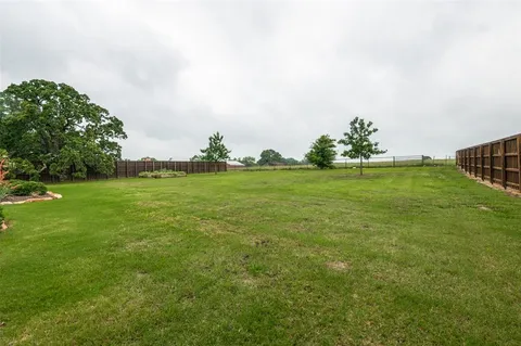 a view of a big yard with plants and large trees