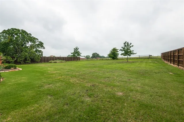 a view of a big yard with plants and large trees