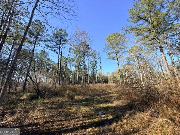 $83,900 | 4 Sun Hill Grange Road, Davisboro, GA 31018