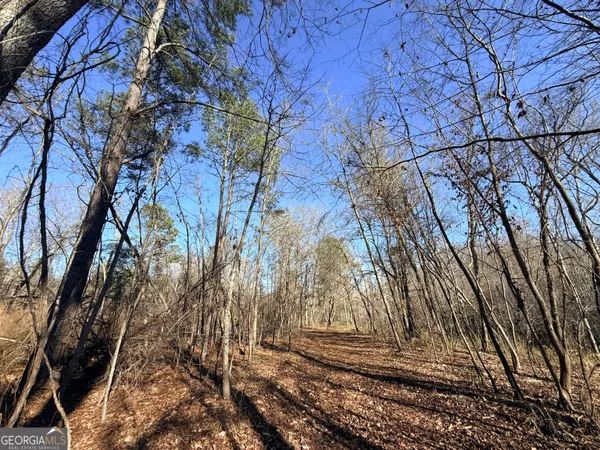 $83,900 | 4 Sun Hill Grange Road, Davisboro, GA 31018