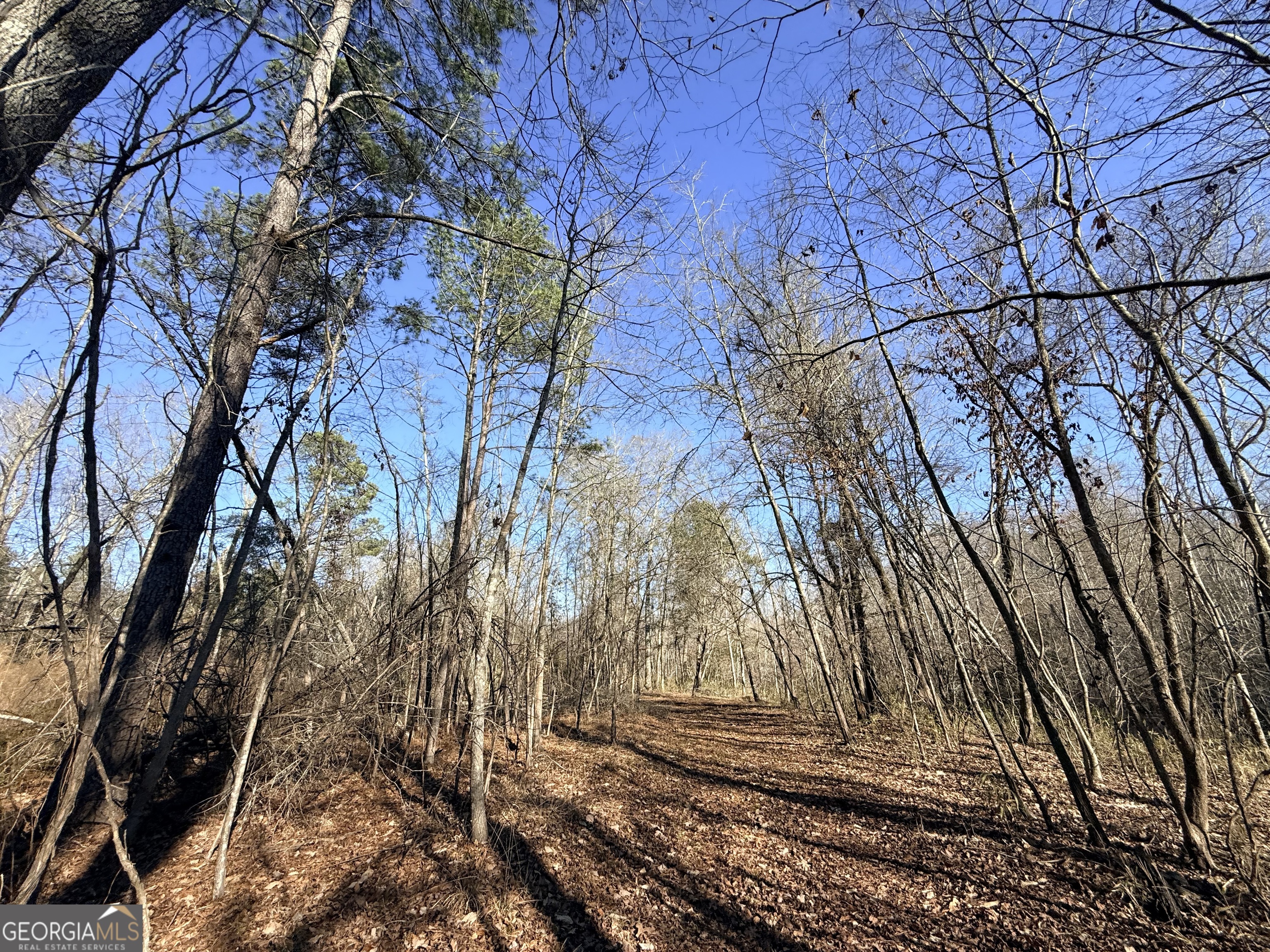 4 Sun Hill Grange Road Davisboro, GA 31018 - Photo 11 of 29