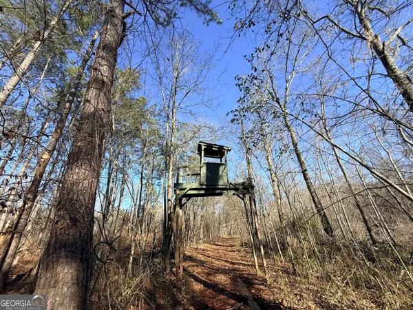 $83,900 | 4 Sun Hill Grange Road, Davisboro, GA 31018