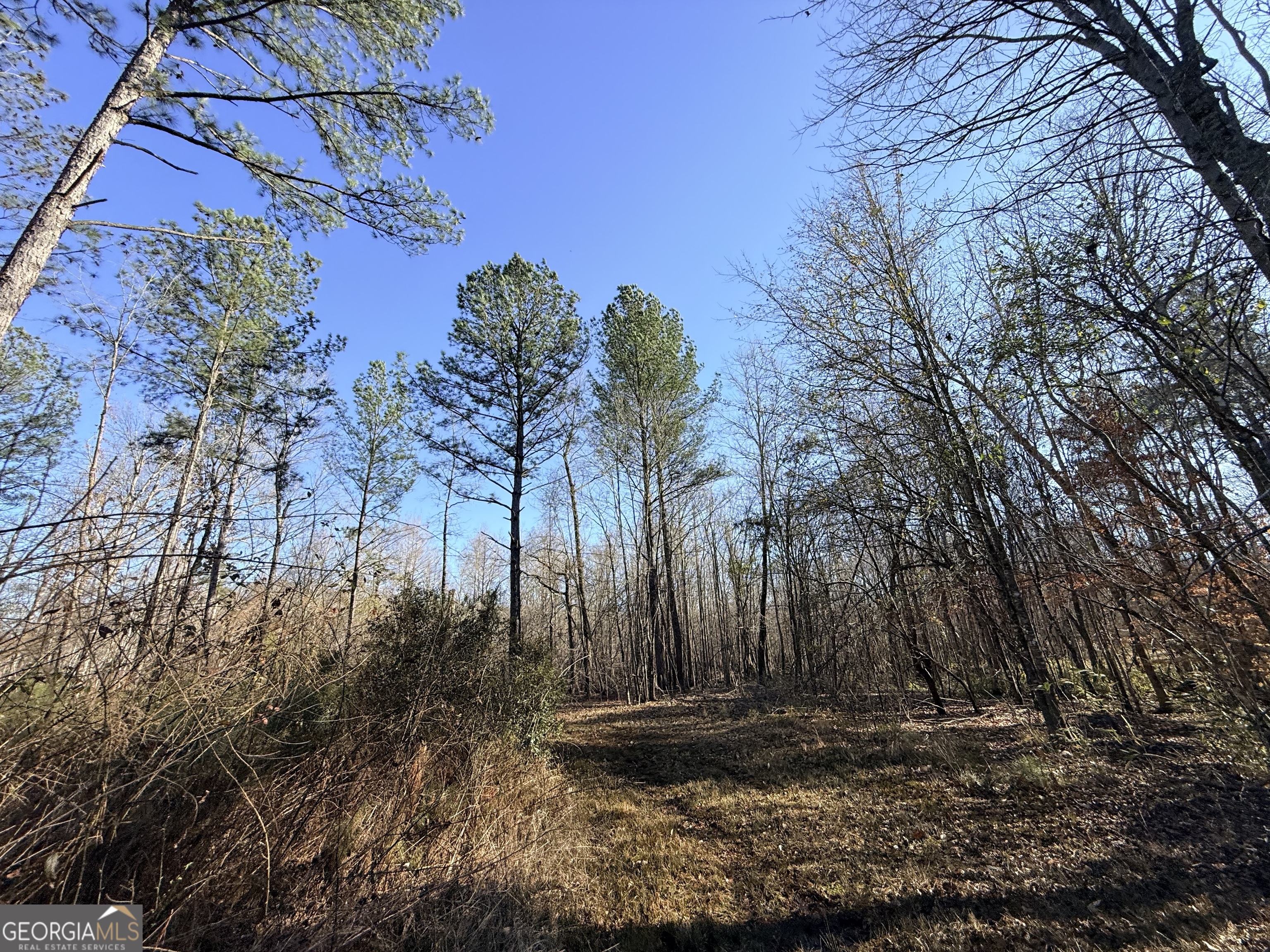 4 Sun Hill Grange Road Davisboro, GA 31018 - Photo 13 of 29