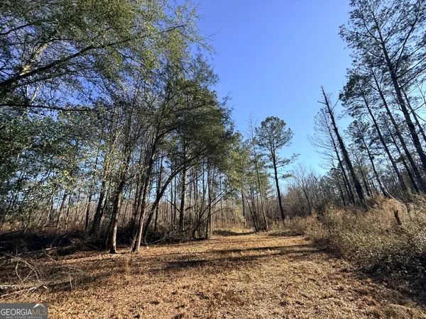 $83,900 | 4 Sun Hill Grange Road, Davisboro, GA 31018