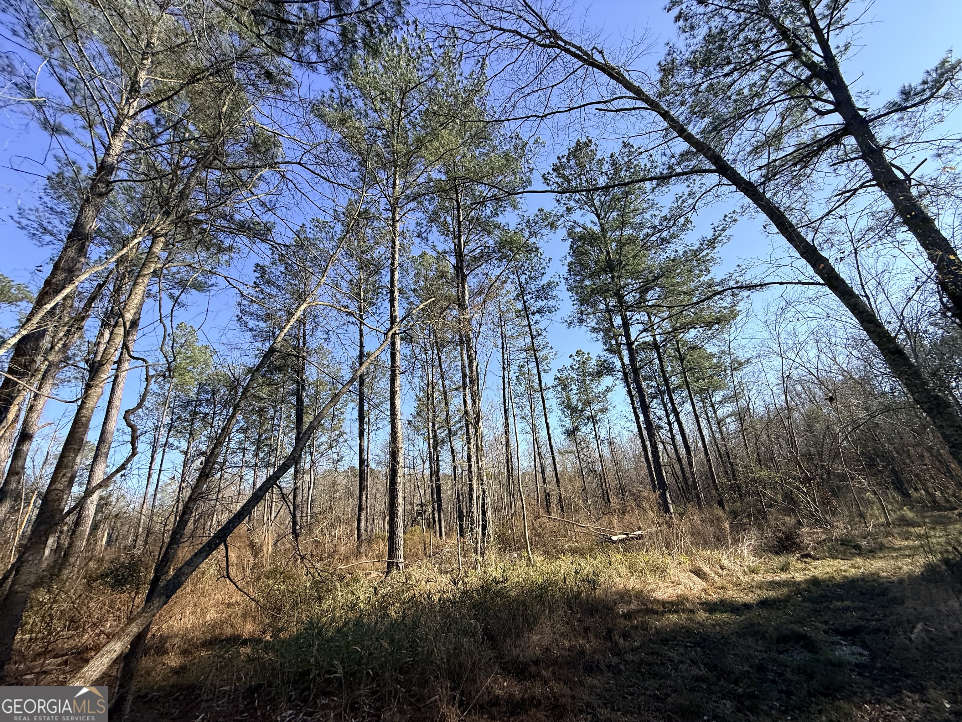 4 Sun Hill Grange Road Davisboro, GA 31018 - Photo 15 of 29
