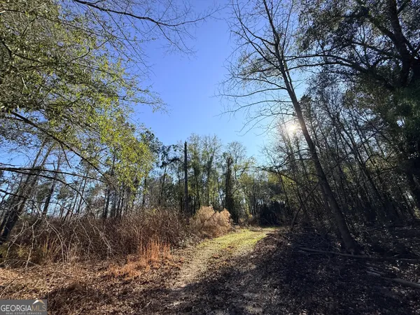 $83,900 | 4 Sun Hill Grange Road, Davisboro, GA 31018