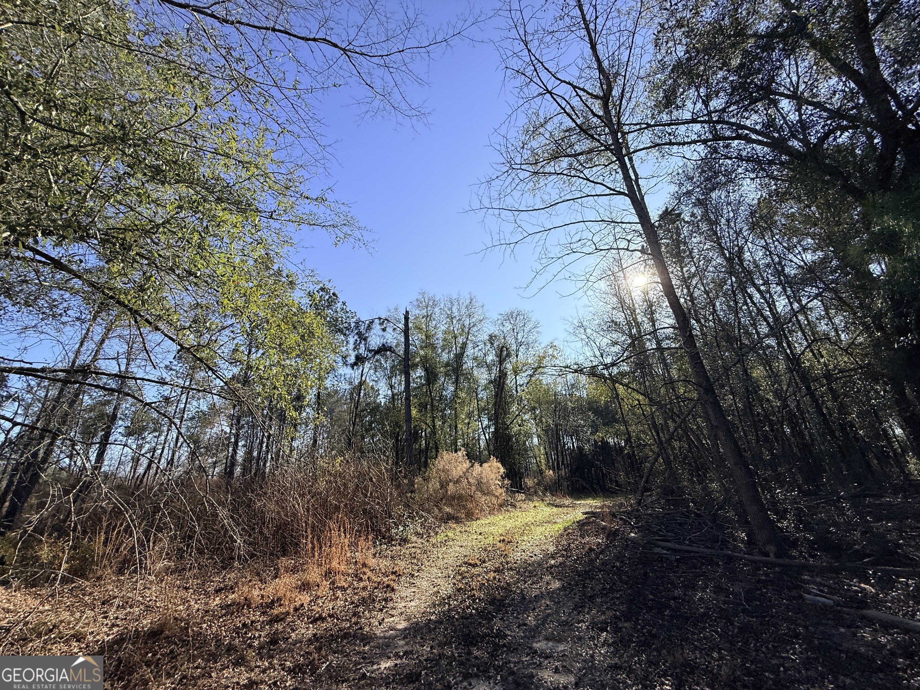 4 Sun Hill Grange Road Davisboro, GA 31018 - Photo 16 of 29