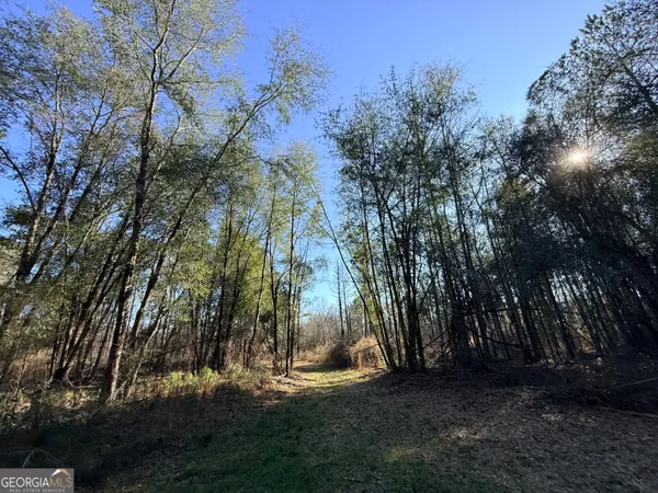 $83,900 | 4 Sun Hill Grange Road, Davisboro, GA 31018