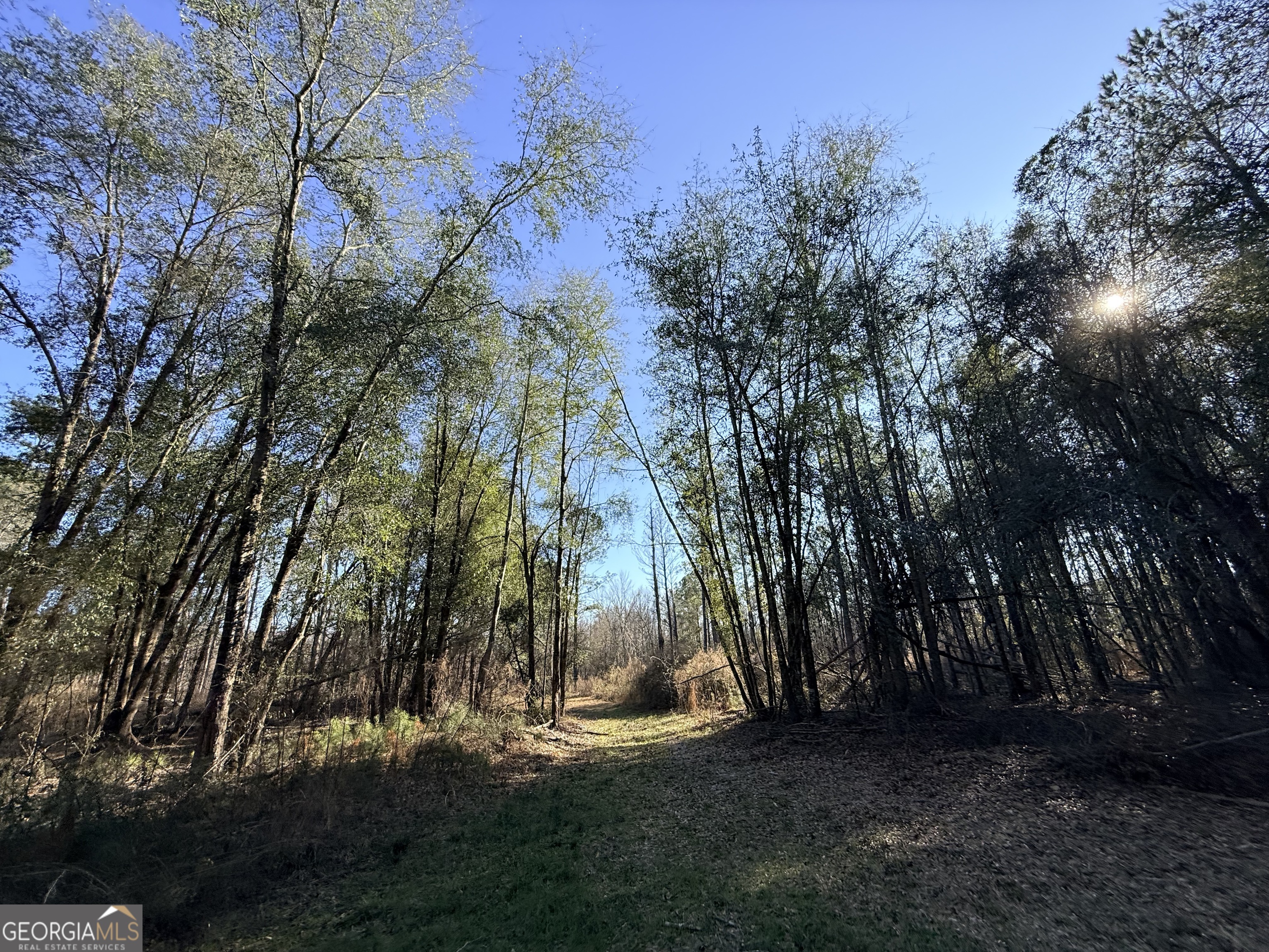 4 Sun Hill Grange Road Davisboro, GA 31018 - Photo 17 of 29