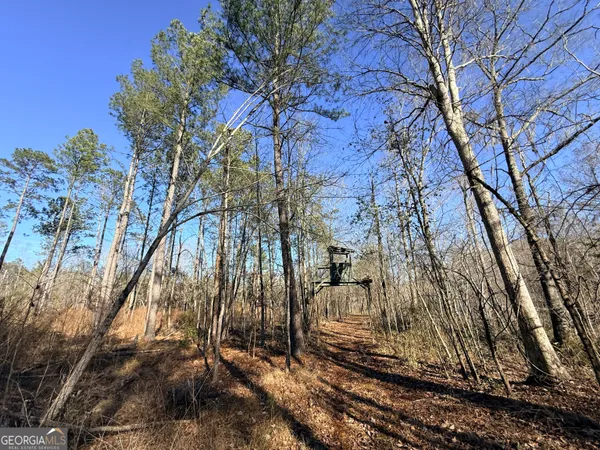 $83,900 | 4 Sun Hill Grange Road, Davisboro, GA 31018