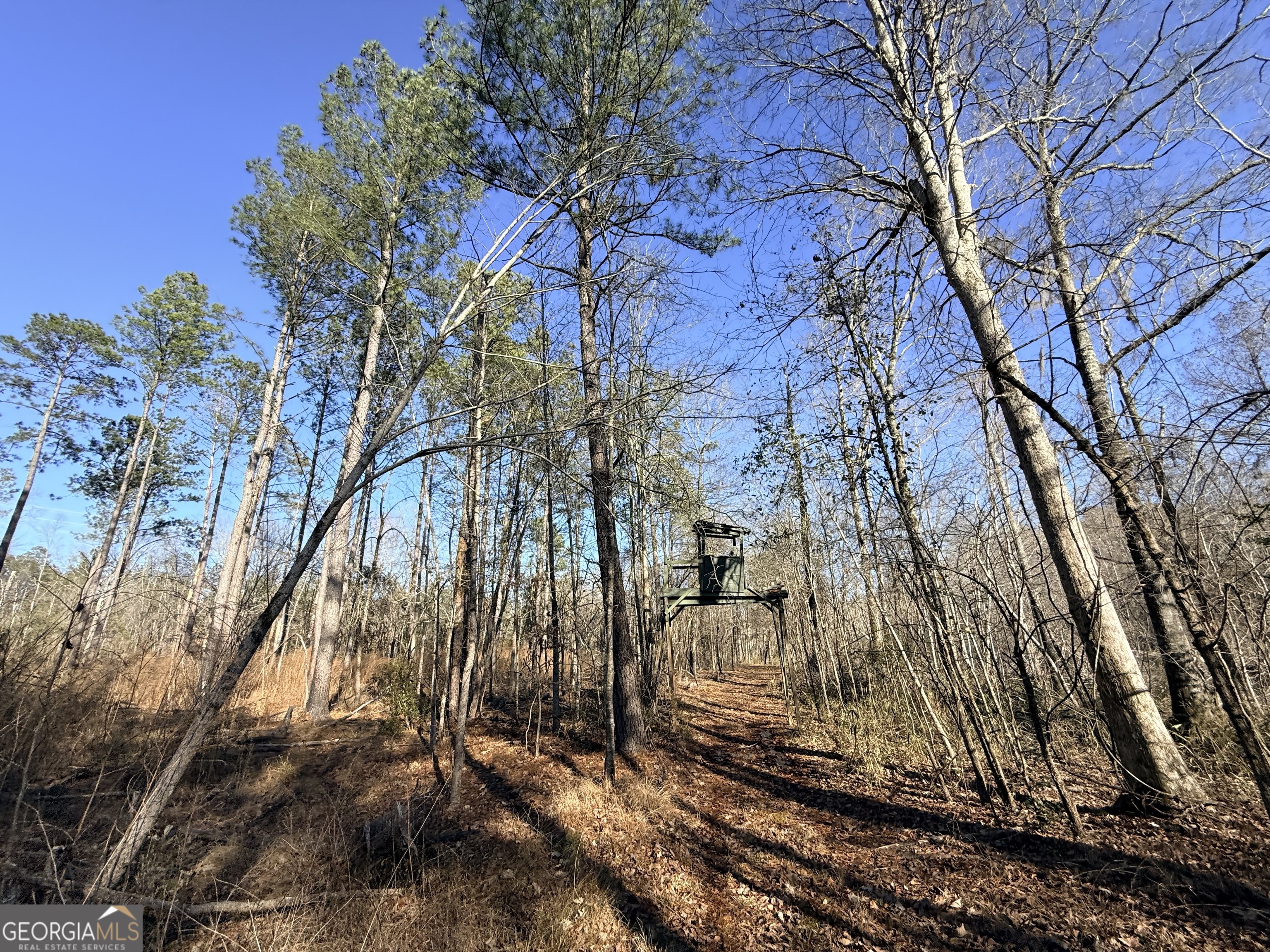 4 Sun Hill Grange Road Davisboro, GA 31018 - Photo 18 of 29
