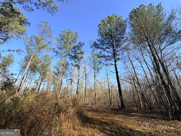 $83,900 | 4 Sun Hill Grange Road, Davisboro, GA 31018