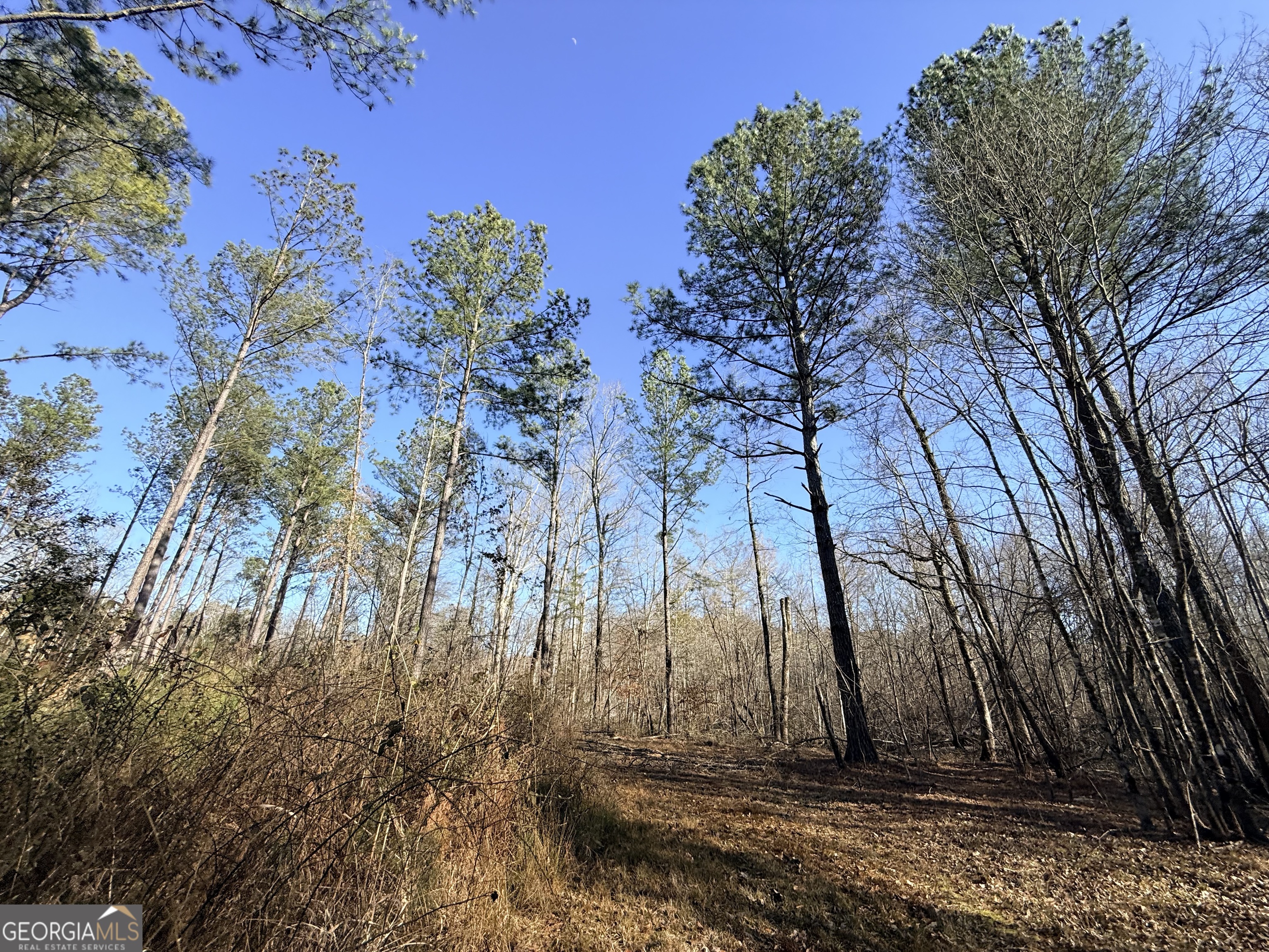 4 Sun Hill Grange Road Davisboro, GA 31018 - Photo 19 of 29