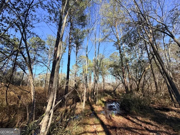 $83,900 | 4 Sun Hill Grange Road, Davisboro, GA 31018