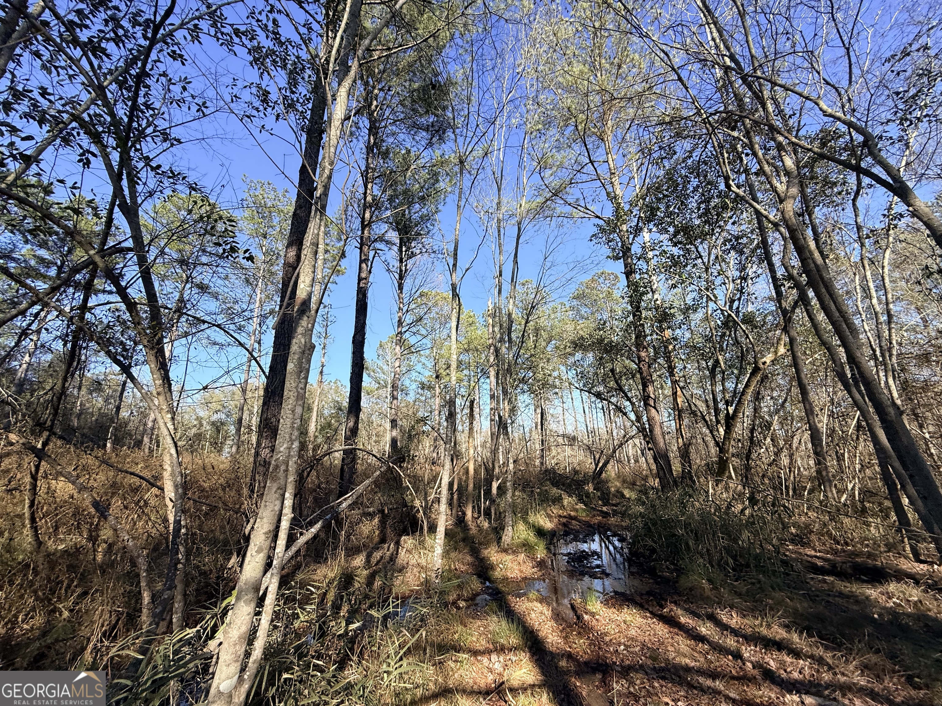 4 Sun Hill Grange Road Davisboro, GA 31018 - Photo 20 of 29