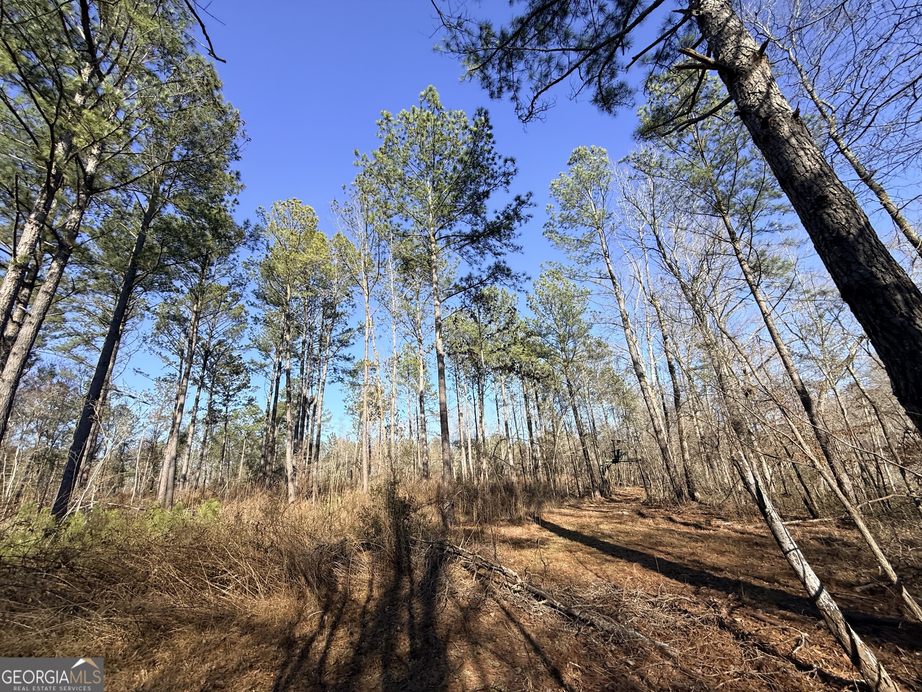 4 Sun Hill Grange Road Davisboro, GA 31018 - Photo 2 of 29