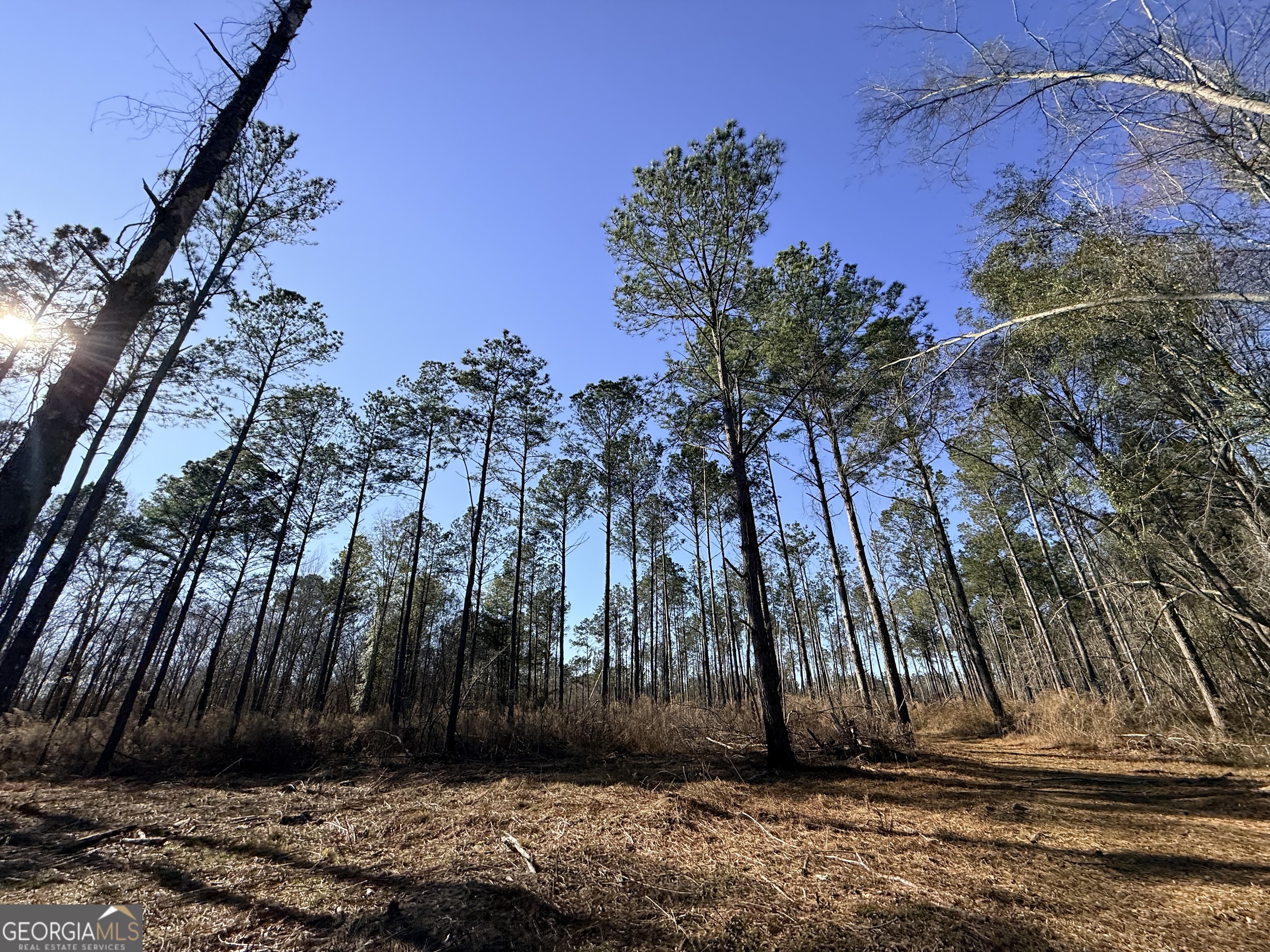 4 Sun Hill Grange Road Davisboro, GA 31018 - Photo 21 of 29