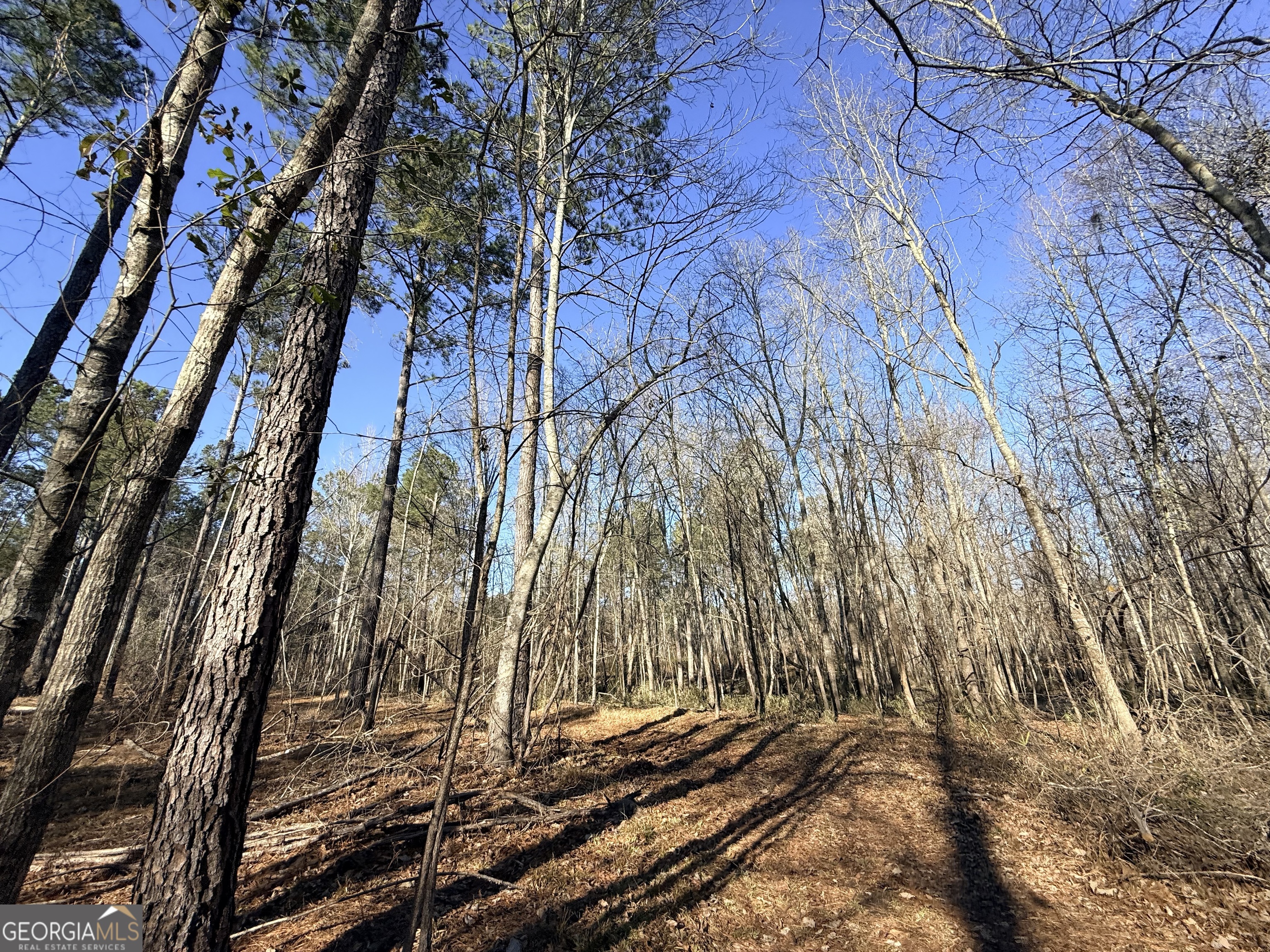 4 Sun Hill Grange Road Davisboro, GA 31018 - Photo 22 of 29