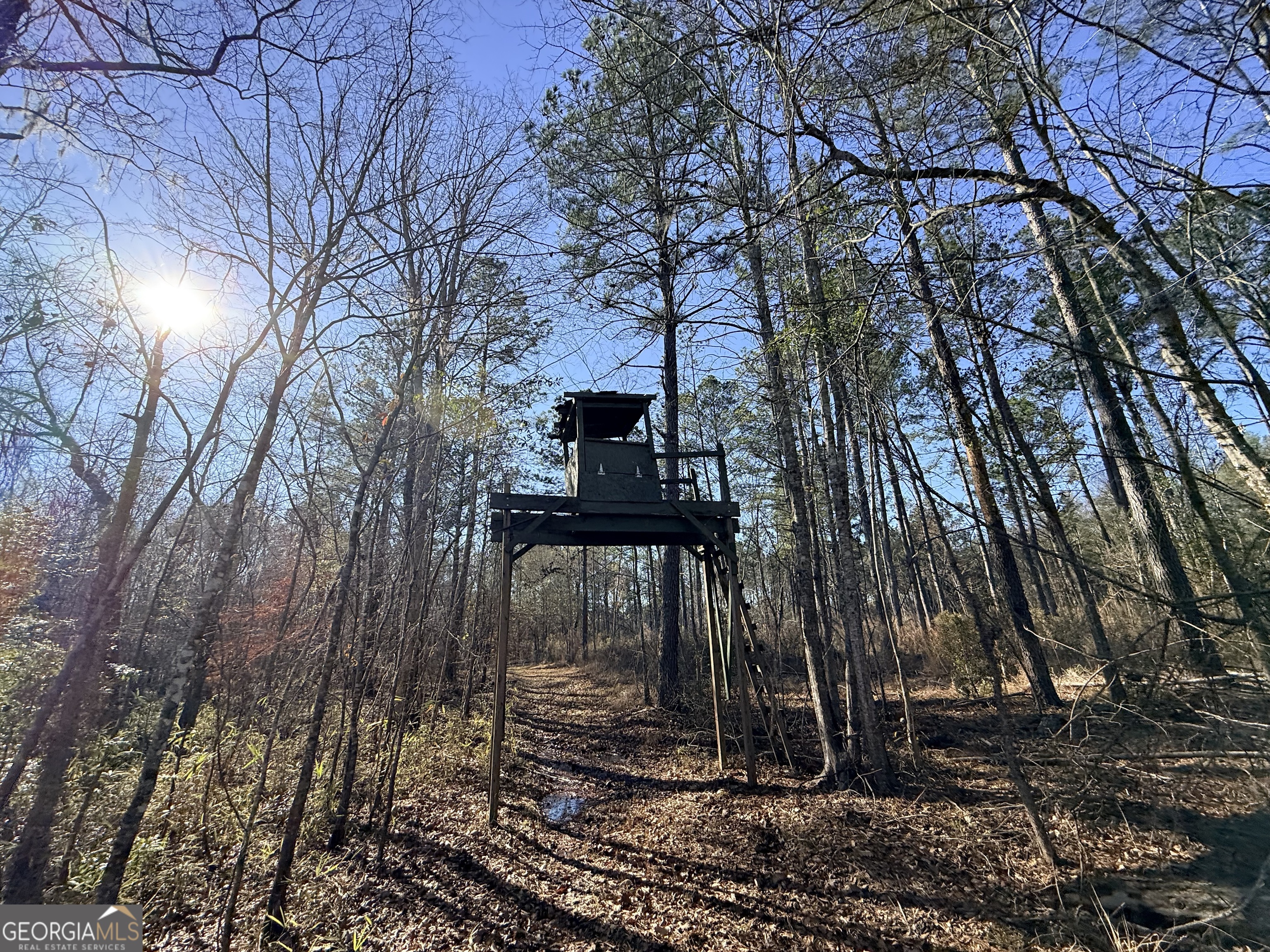 4 Sun Hill Grange Road Davisboro, GA 31018 - Photo 23 of 29
