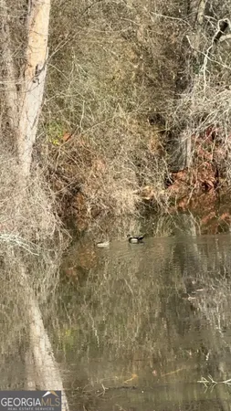 $83,900 | 4 Sun Hill Grange Road, Davisboro, GA 31018