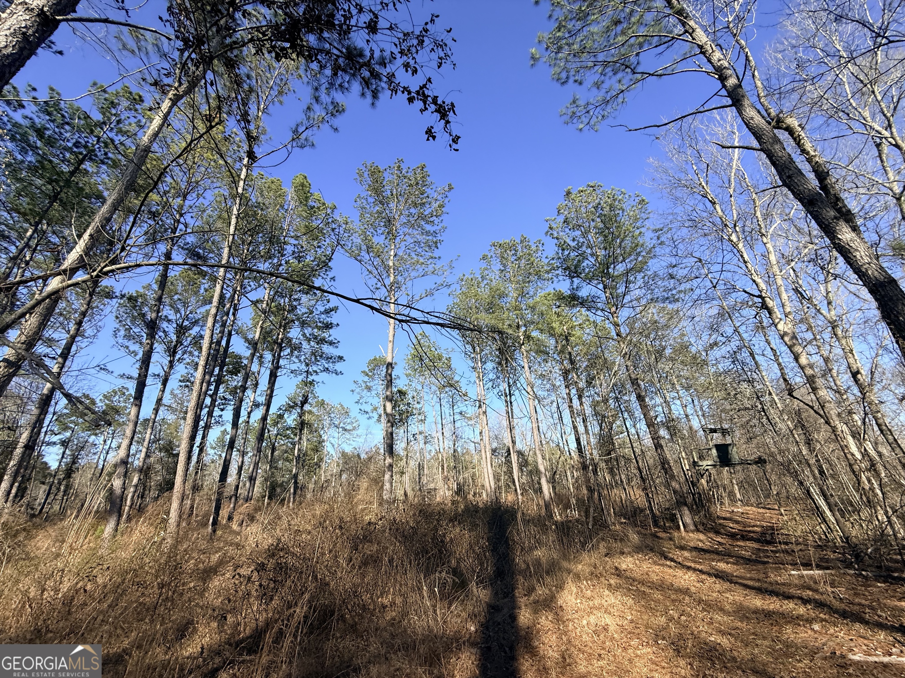 4 Sun Hill Grange Road Davisboro, GA 31018 - Photo 27 of 29