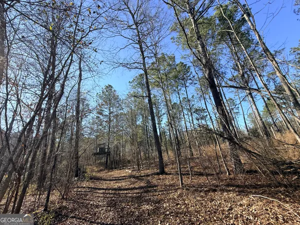 $83,900 | 4 Sun Hill Grange Road, Davisboro, GA 31018