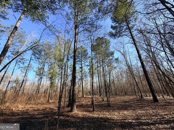 $83,900 | 4 Sun Hill Grange Road, Davisboro, GA 31018