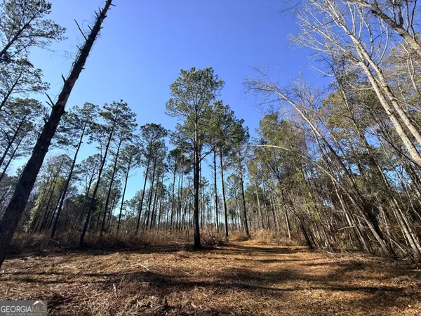 $83,900 | 4 Sun Hill Grange Road, Davisboro, GA 31018