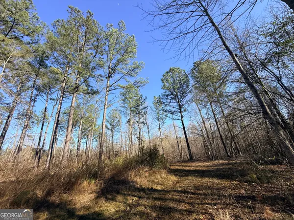 $83,900 | 4 Sun Hill Grange Road, Davisboro, GA 31018