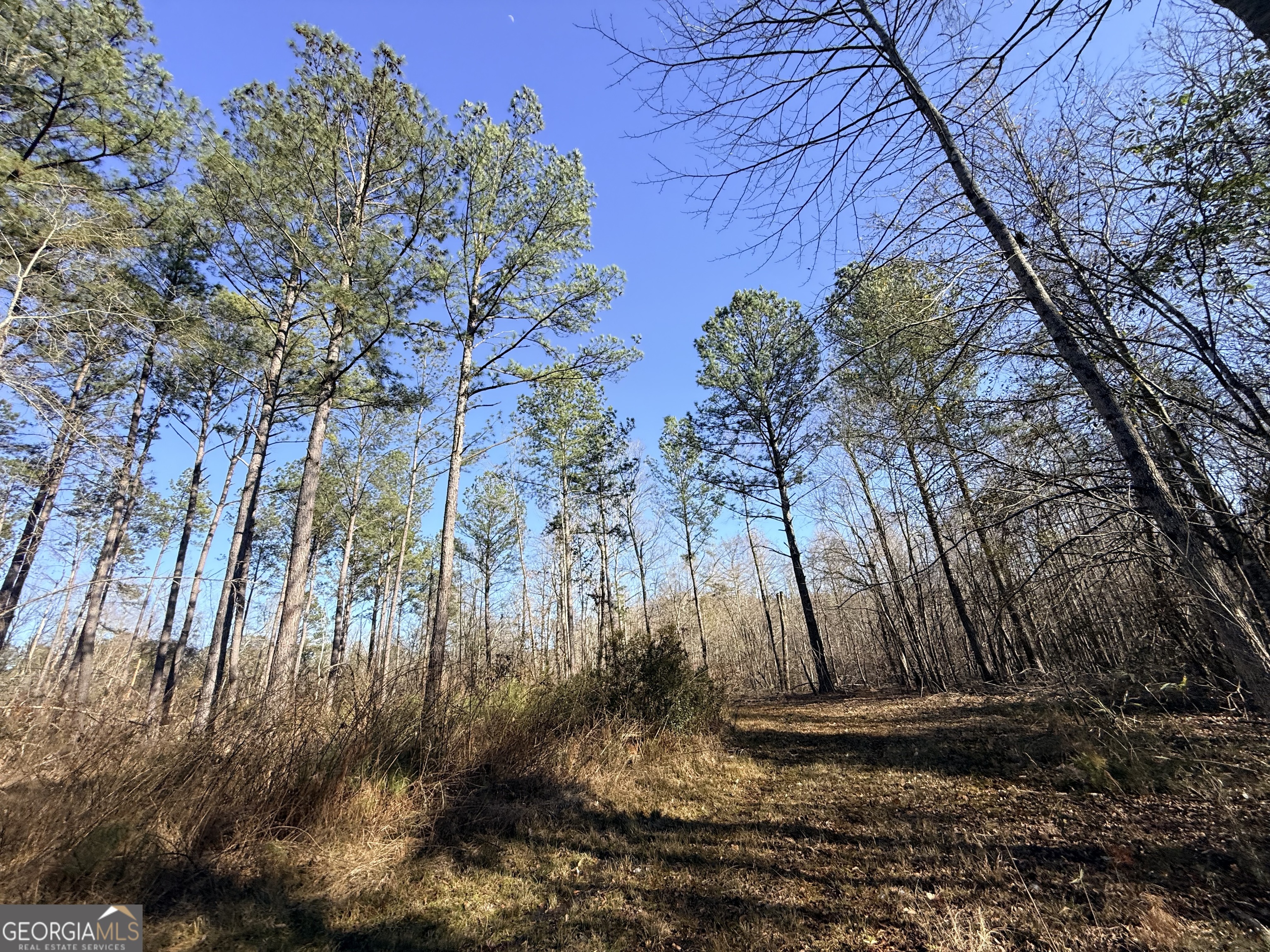 4 Sun Hill Grange Road Davisboro, GA 31018 - Photo 6 of 29