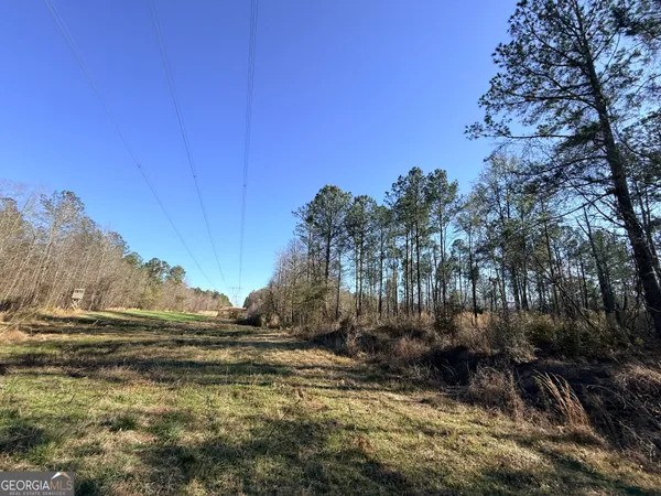 $83,900 | 4 Sun Hill Grange Road, Davisboro, GA 31018