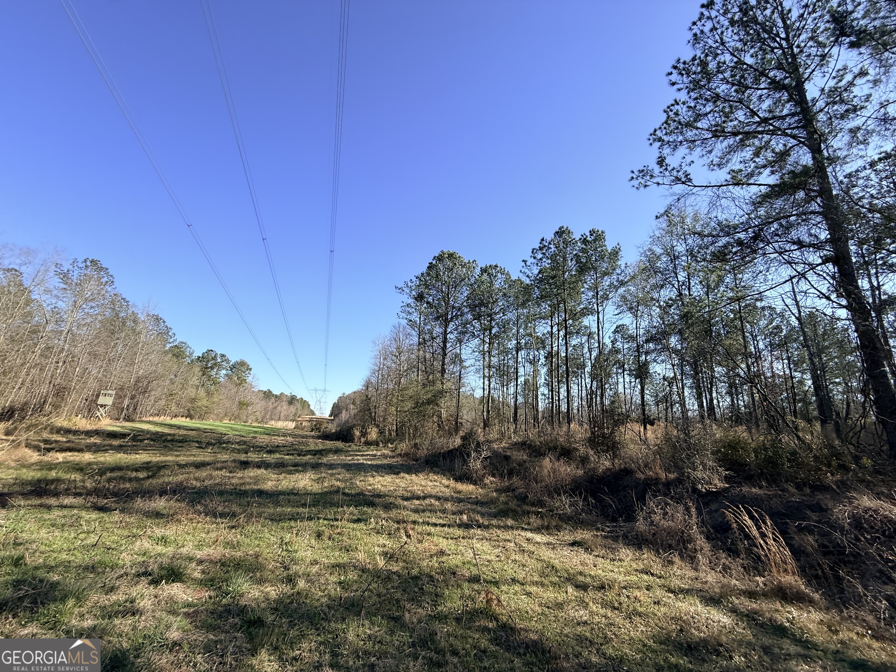 4 Sun Hill Grange Road Davisboro, GA 31018 - Photo 7 of 29