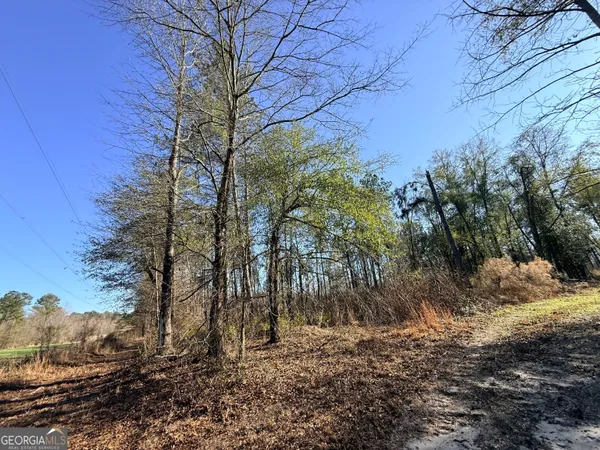 $83,900 | 4 Sun Hill Grange Road, Davisboro, GA 31018