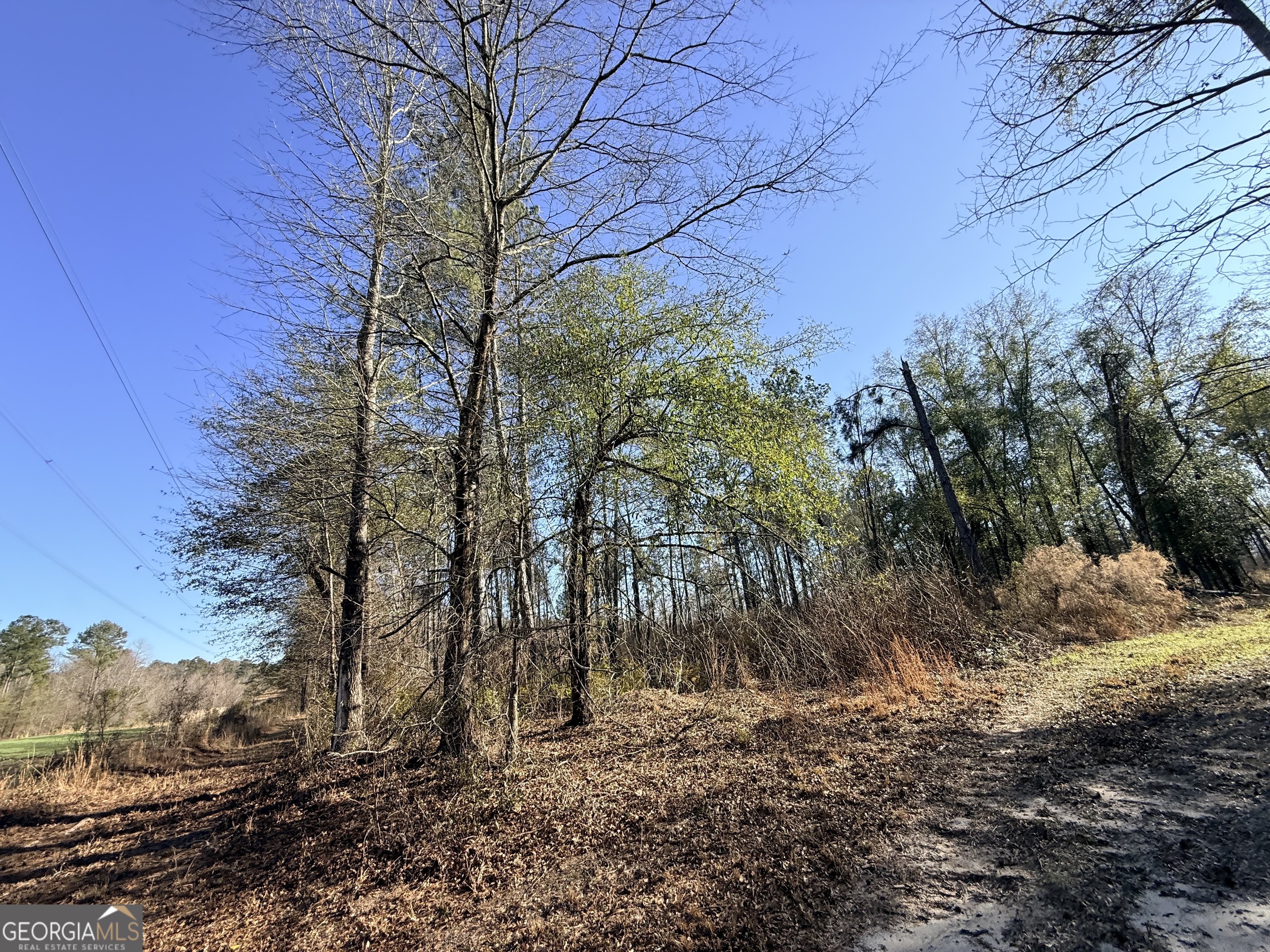 4 Sun Hill Grange Road Davisboro, GA 31018 - Photo 9 of 29