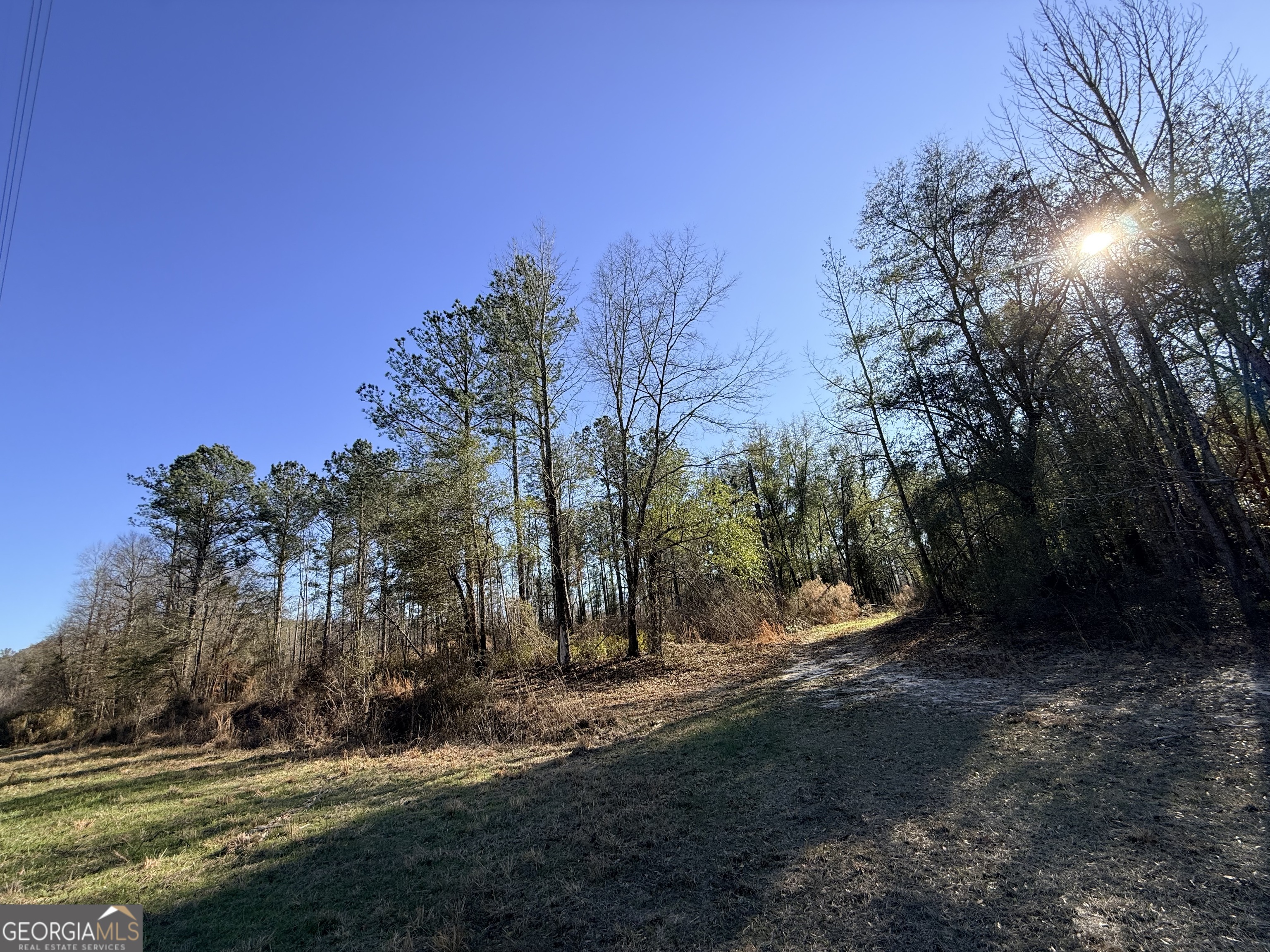 4 Sun Hill Grange Road Davisboro, GA 31018 - Photo 10 of 29