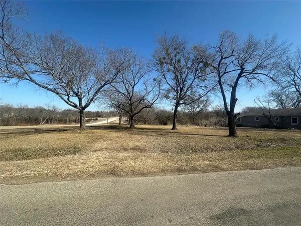 a view of dirt yard with a tree