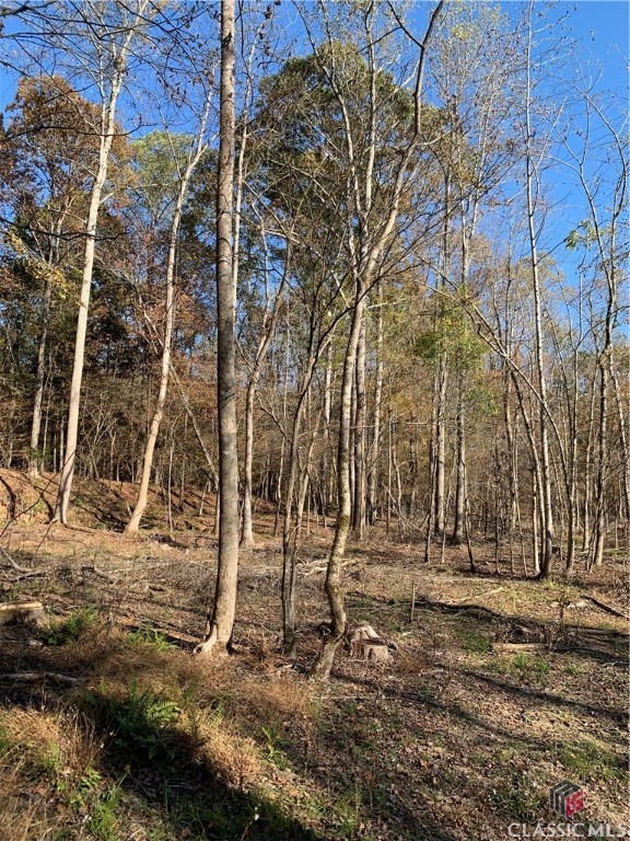 0 Center Church Road Stephens, GA 30667 - Photo 20 of 26